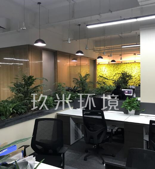 杭州正大裝飾室內(nèi)景觀及植物墻